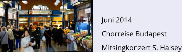 Juni 2014 Chorreise Budapest Mitsingkonzert S. Halsey