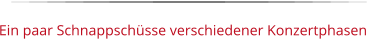 Ein paar Schnappschüsse verschiedener Konzertphasen