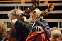 Kontrabass Sinfonietta L�beck