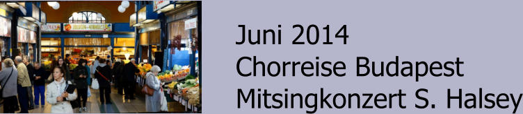 Juni 2014 Chorreise Budapest Mitsingkonzert S. Halsey