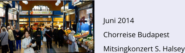 Juni 2014 Chorreise Budapest Mitsingkonzert S. Halsey
