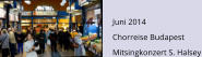Juni 2014 Chorreise Budapest Mitsingkonzert S. Halsey